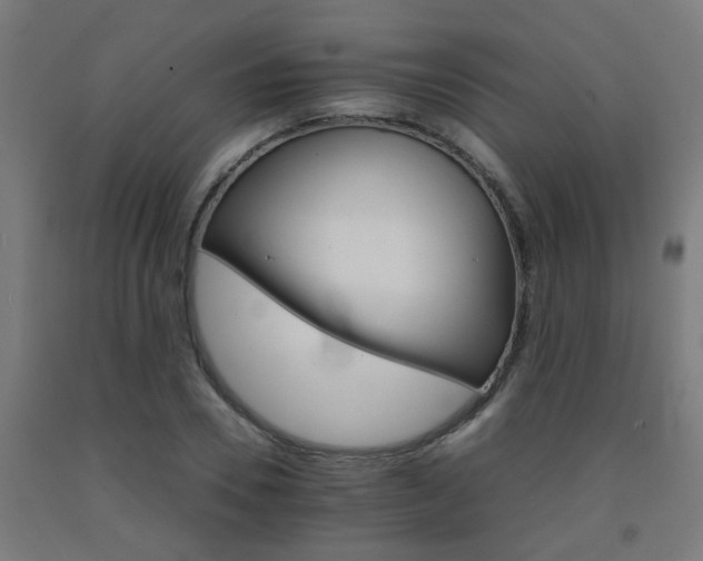 X0000093150930200709261442