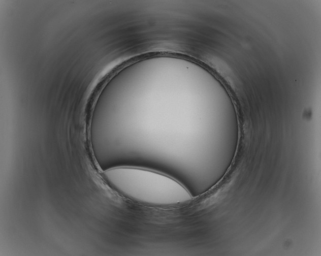 X0000093150931200709261442