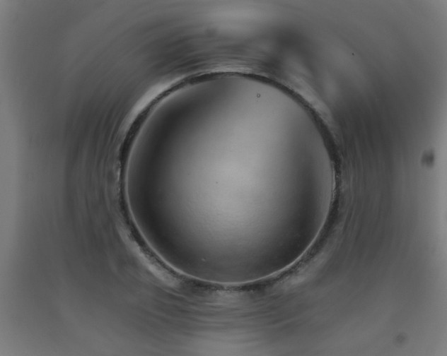 X0000093150933200709261442