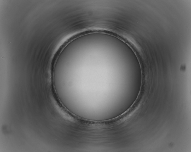 X0000093150934200709261442