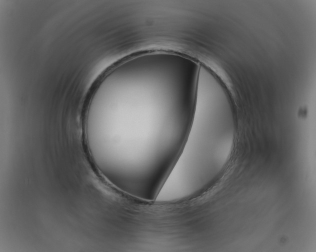X0000093150936200709261442