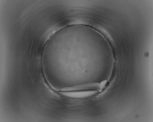 X0000093150937200709261442