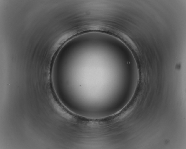 X0000093150938200709261442