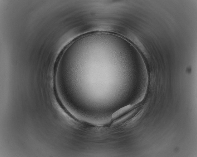 X0000093150939200709261442