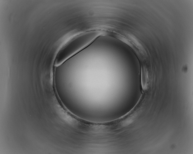 X0000093150940200709261442