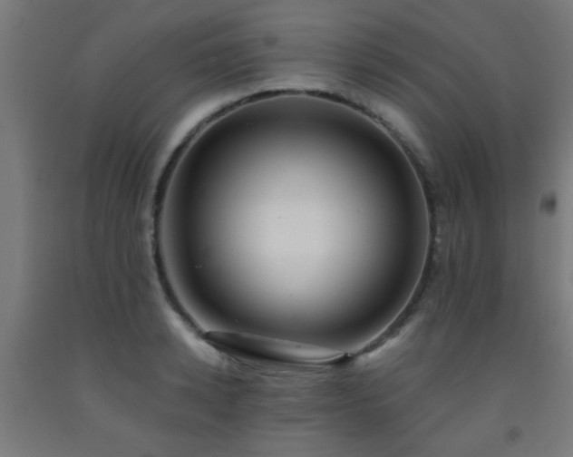 X0000093150942200709261442