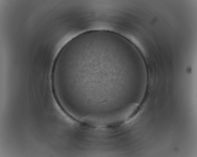 X0000093150943200709261442