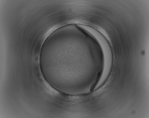 X0000093150946200709261442