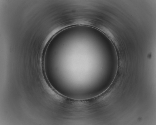 X0000093150947200709261442