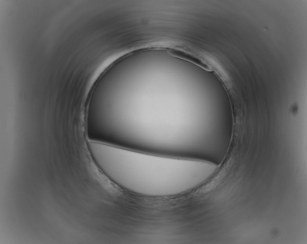 X0000093150948200709261442