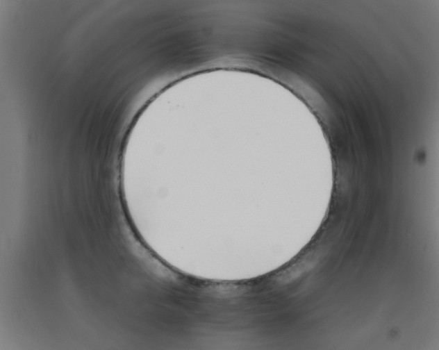 X0000093150950200709261442