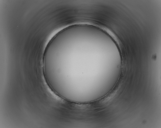 X0000093150951200709261442