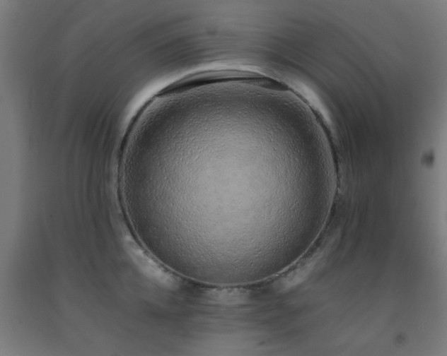 X0000093150952200709261442