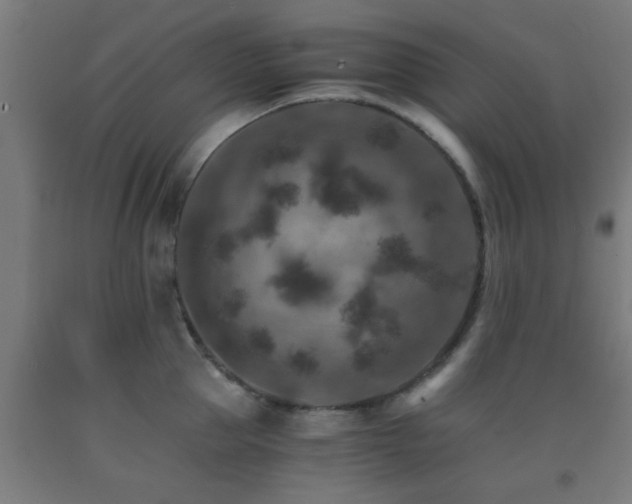 X0000093150953200709261442