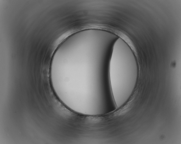 X0000093150954200709261442
