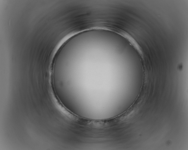 X0000093150955200709261442