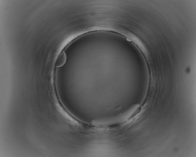 X0000093150958200709261442