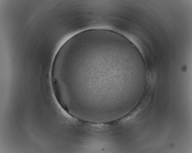 X0000093150959200709261442
