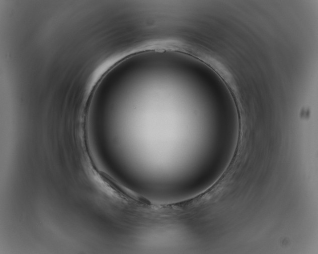 X0000093150960200709261442