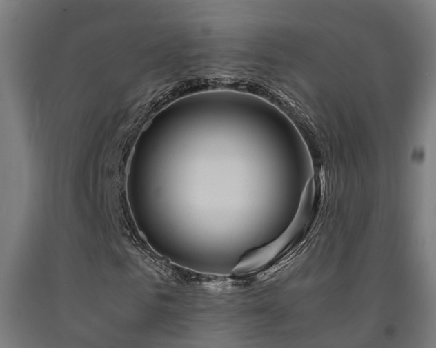 X0000093150961200709261442