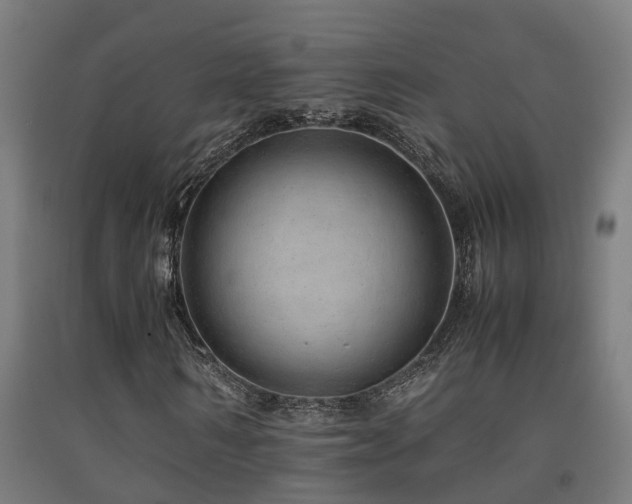 X0000093150962200709261442