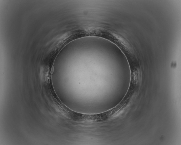 X0000093150963200709261442