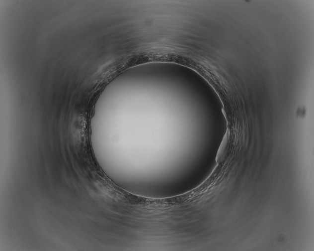 X0000093150964200709261442