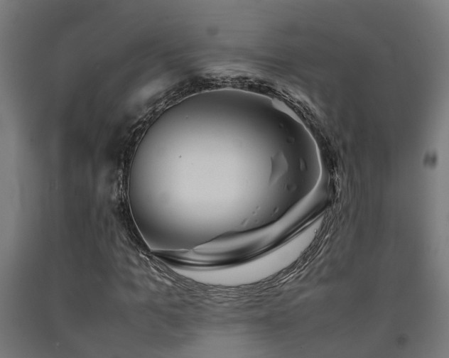 X0000093150965200709261442