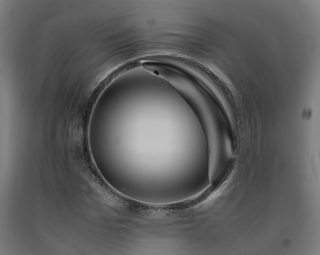 X0000093150969200709261442