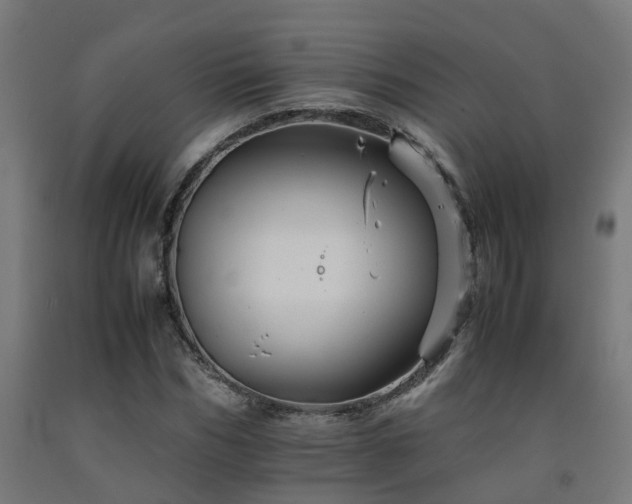 X0000093150970200709261442