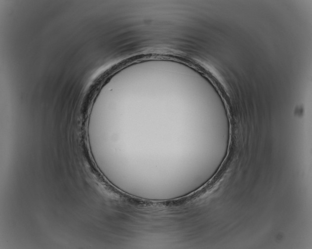 X0000093150971200709261442
