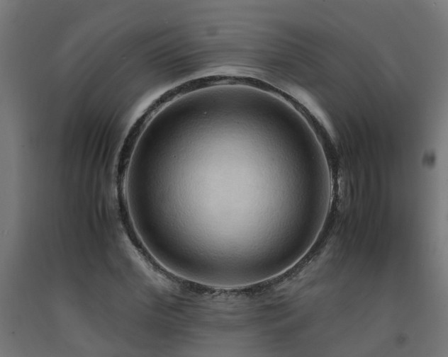 X0000093150972200709261442