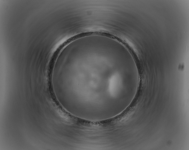 X0000093150975200709261442