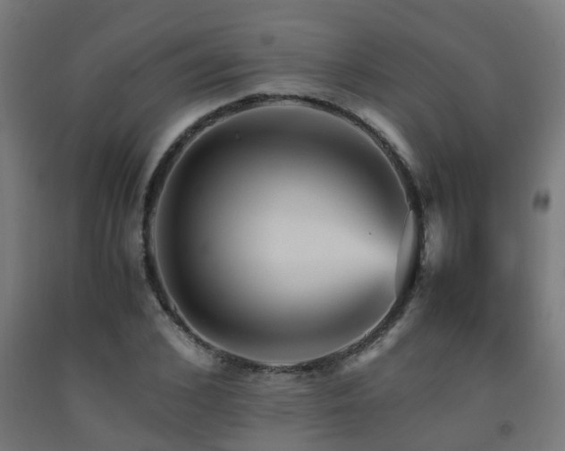 X0000093150976200709261442