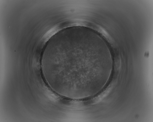 X0000093150977200709261442
