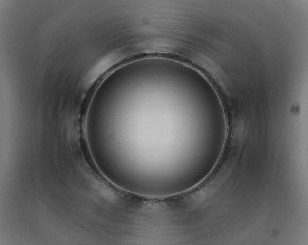 X0000093150978200709261442