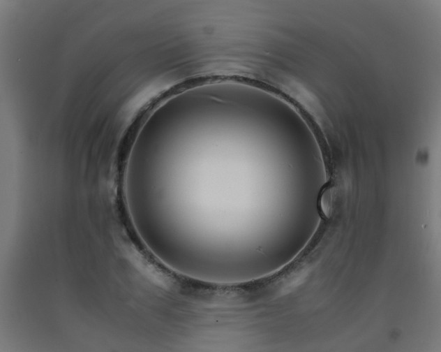 X0000093150979200709261442