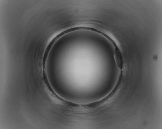 X0000093150980200709261442