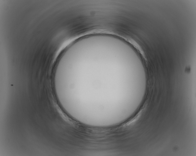 X0000093150981200709261442
