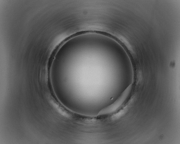 X0000093150982200709261442