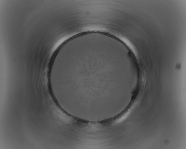 X0000093150983200709261442