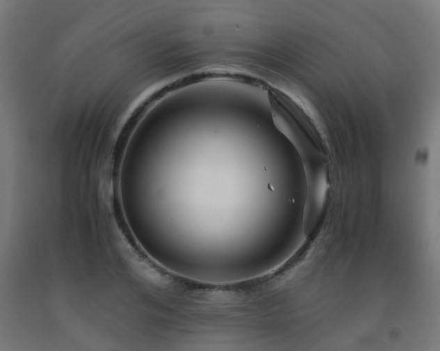 X0000093150984200709261442