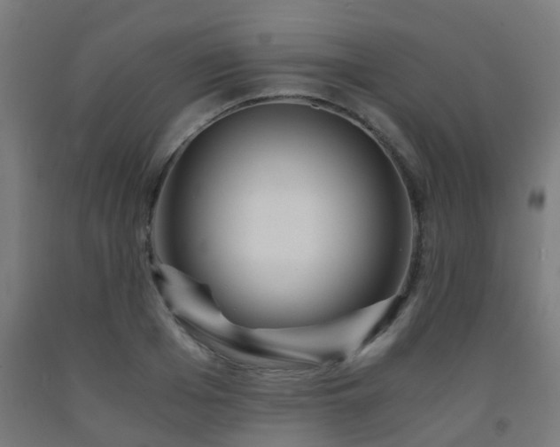 X0000093150985200709261442