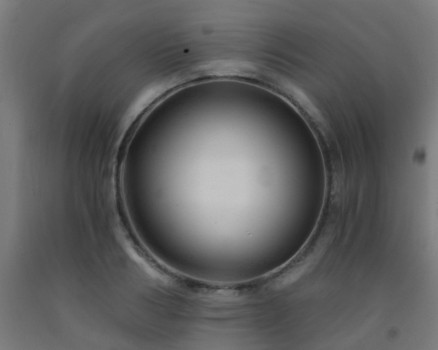 X0000093150986200709261442