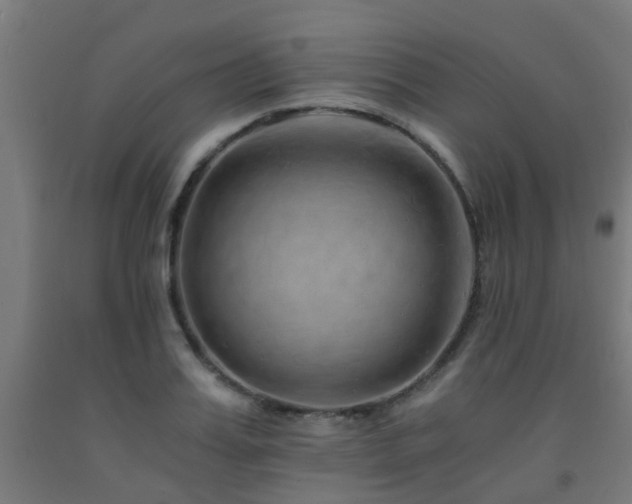 X0000093150987200709261442