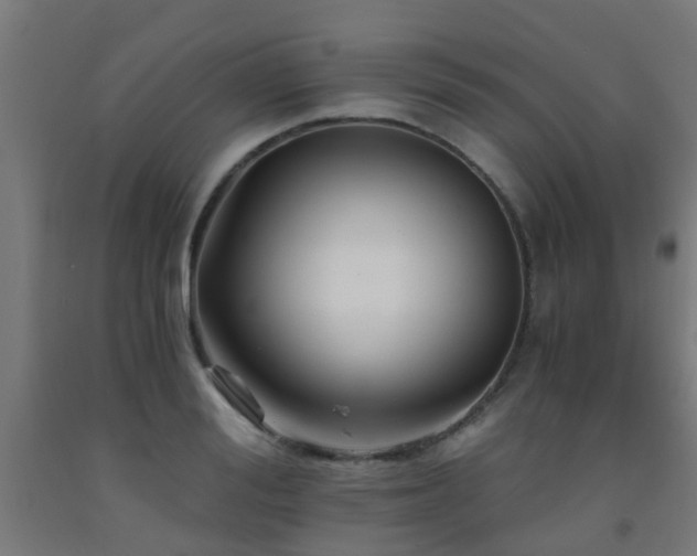X0000093150988200709261441