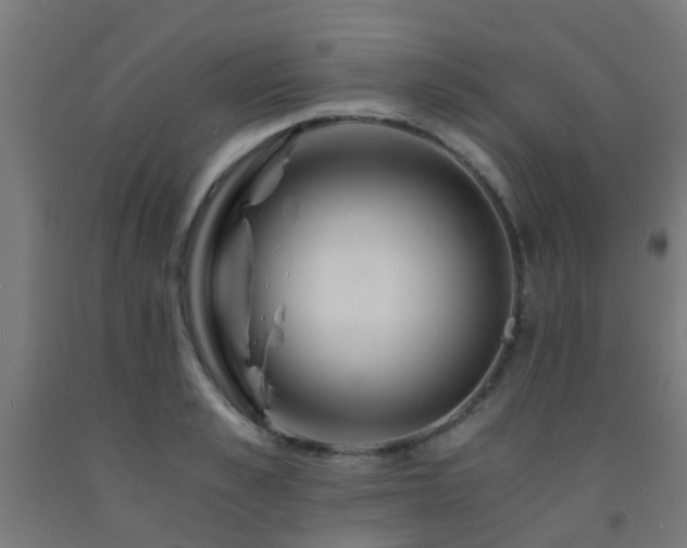 X0000093150989200709261441