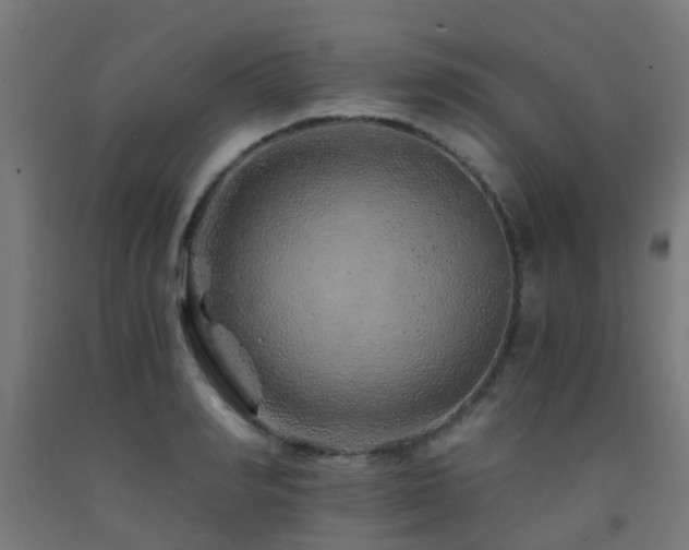 X0000093150990200709261441
