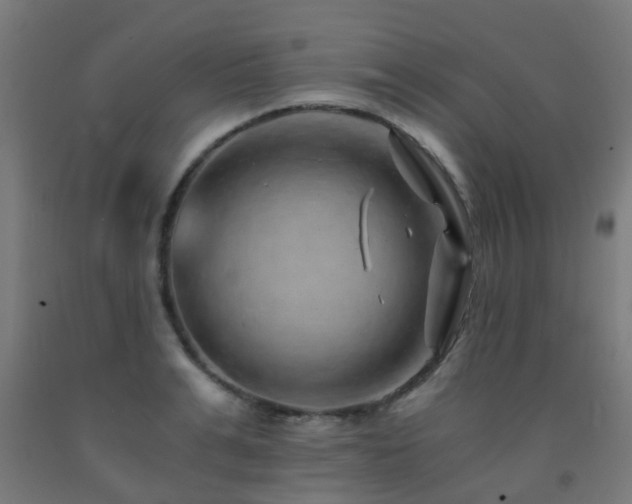 X0000093150991200709261441