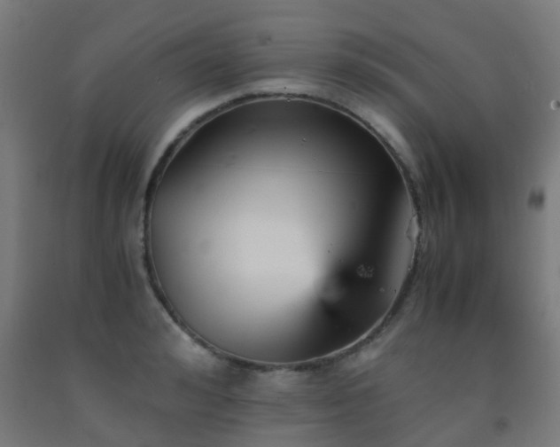 X0000093150992200709261441